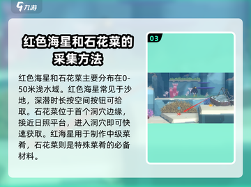 潜水员戴夫🔥蜘蛛海星捕捉全攻略💎截图4