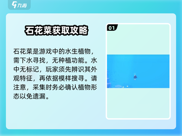 潜水员戴夫🔥石花菜获取秘籍💎截图2