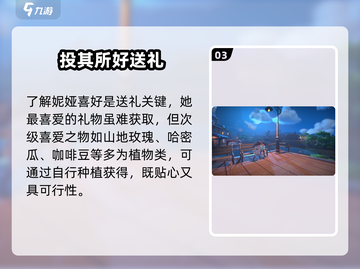 沙石镇时光✨妮娅任务速通秘籍截图4