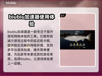 俄钓4加速器推荐，游戏流畅必备🔥🎮截图2