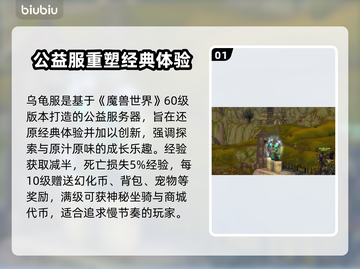 🔥魔兽世界乌龟服加速器推荐！🚀截图2