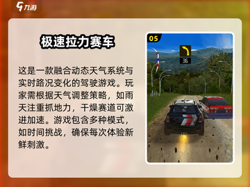 🔥2025必玩的拉力赛游戏📖顶级大全下载链接截图6