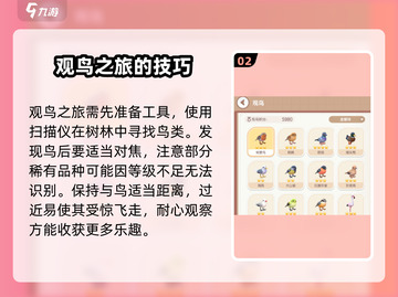 心动小镇观鸟操作🔥超全介绍来啦！🎉截图3