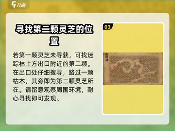 大侠立志传🔥迷踪林灵芝位置全揭秘！截图4