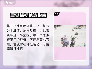 七日世界🔥雪狐获取攻略｜轻松到手💎截图3