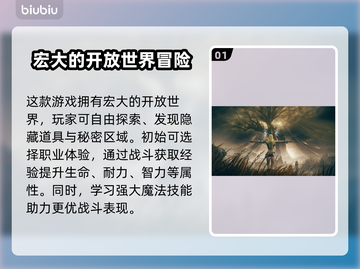 艾尔登法环🔥加速器选择攻略与推荐！玩家必看🎮截图2