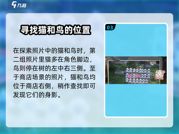 无限暖暖💥见照片调查完成攻略分享🎮截图4