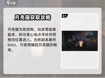 七日世界💥月亮猫获取攻略-cat必看截图2