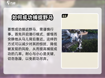 燕云十六声🔥马匹抓捕超全攻略🎉截图4