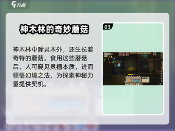 了不起的修仙模拟器🔥神木林位置曝光，速来探秘！截图4