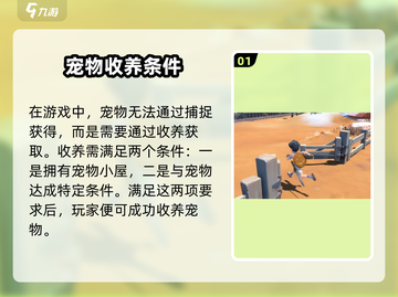🎮《沙石镇时光》宠物抓捕全攻略！截图2
