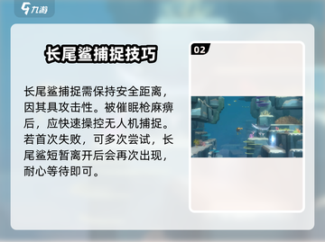潜水员戴夫📖鲨鱼捕捉全攻略！💥必看截图3