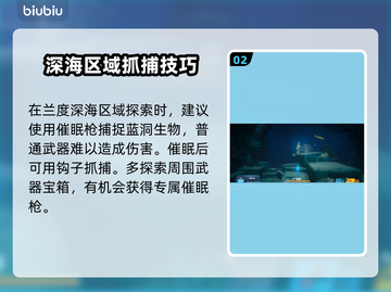 潜水员戴夫雪茄达摩鲨位置大揭秘！🎮🔥截图3