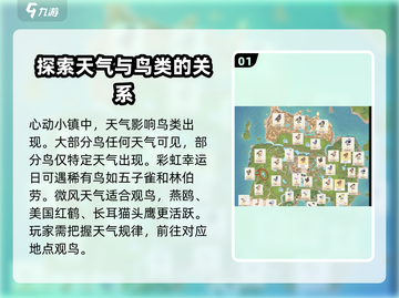 心动小镇：快速解锁观鸟秘籍🔥🎉截图2