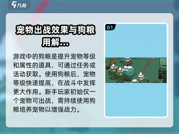 英勇之地🐶：揭秘狗粮真相，玩家必看！截图2