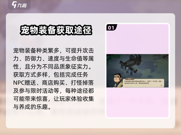 《大侠立志传》宠物装备获取🔥超全攻略来啦！截图2