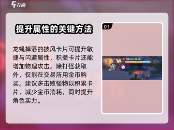 仙境传说新启航🔥龙蝇卡片获取全攻略✨截图2