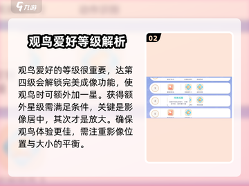 心动小镇🔥超全观鸟技巧分享🎉截图3