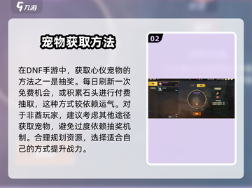 地下城与勇士手游🔥宠物玩法全揭秘！新手必看💥截图3