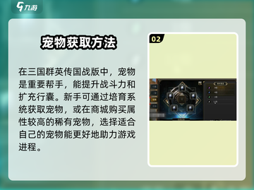 三国群英传宠物祝福大揭秘💥游戏党必看！截图3