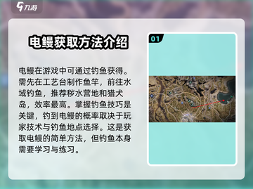 七日世界🔥电鳗获取秘籍⚡玩家必看！截图2