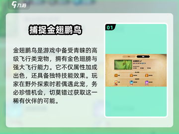 万龙觉醒🔥金翅鹏鸟技能全揭秘！🔥截图2