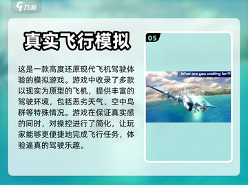 2024必玩✈顶级飞机驾驶手游推荐🔥截图6