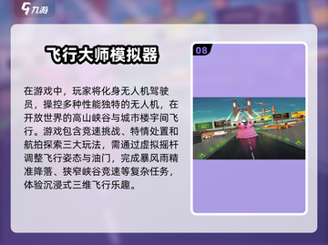 ✈2025必玩！十大经典飞机手游推荐🔥截图9