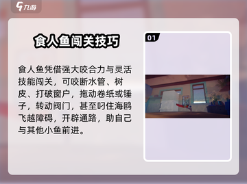 《小鱼儿食人鱼🔥通关秘籍大公开！》截图2