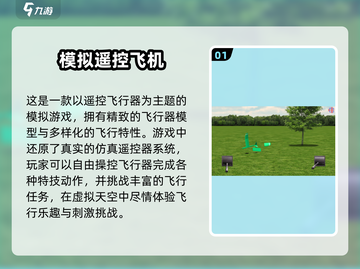 2024必玩🔥遥控飞机模拟游戏排行榜✈截图2