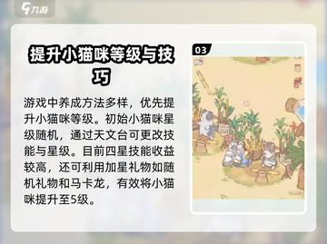 猫咪和汤：灰色猫咪养成秘籍💥🎮截图4