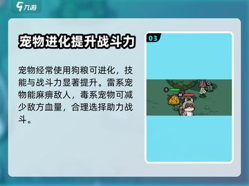 《英勇之地》狗粮大揭秘！🔥玩家必看㊙截图4