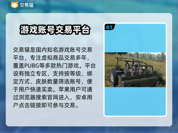 🔥PUBG账号交易全攻略！这些平台你一定要知道！🎮💥截图2