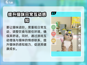 超喵星计划🐱：猫咪进阶秘籍，快速养成终极萌宠！截图2