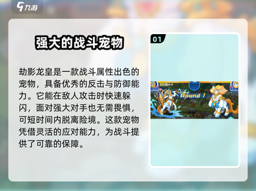 洛克王国手游🔥主宠排行榜揭秘！宠物推荐超详细🎉截图2