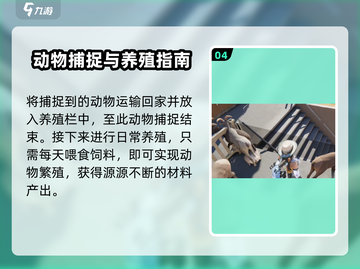 七日世界🔥捕捉动物超全方法大公开！🎮截图5
