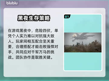 艾尔登法环黑夜君临🔥联机加速器推荐🚀截图2