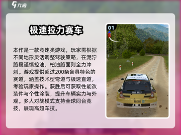 🔥2025必玩拉力赛游戏TOP榜！🚗💥截图2
