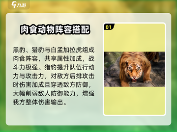 野兽领主新世界🔥队伍搭配秘籍/Game必备🚨截图2