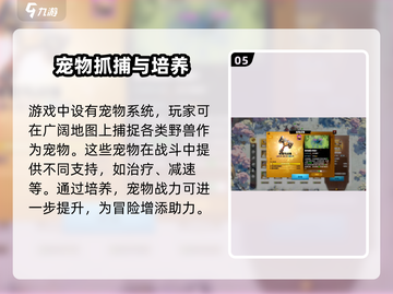 万龙觉醒🔥新手必看！快速上手指南🎉截图6