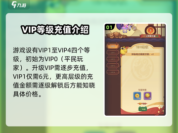守护之境VIP价格大揭秘💥，各等级收费一览🎮截图2