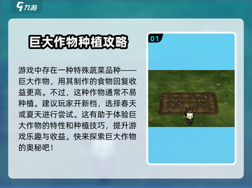 饥荒新家园🔥掌握巨大作物种植方法，轻松制霸游戏！截图2