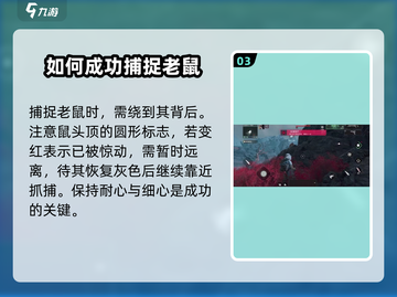代号56坐骑捕捉全攻略🎉《 fantasy game 》必备技巧截图4