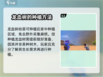沙石镇时光🔥龙血树隐藏秘密大曝光！截图3