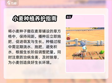 《沙石镇时光》种植小麦秘籍🔥掌握这些注意点，产量翻倍！截图4