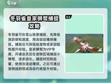 洛克王国世界🔥精灵坐骑推荐与培养秘籍✨截图4
