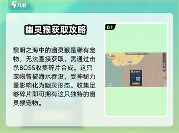 黎明之海💥幽灵猴在哪？速看获取方法🎉截图2