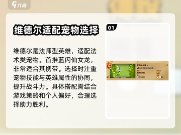 万龙觉醒🔥维德尔宠物最强搭配方案来了！截图2