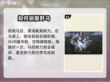 燕云十六声🔥马匹抓捕超全攻略🎉截图6