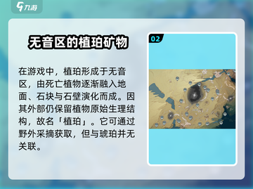 鸣潮植珀采集路线🔥游戏党必看！超全方向攻略来啦～截图3